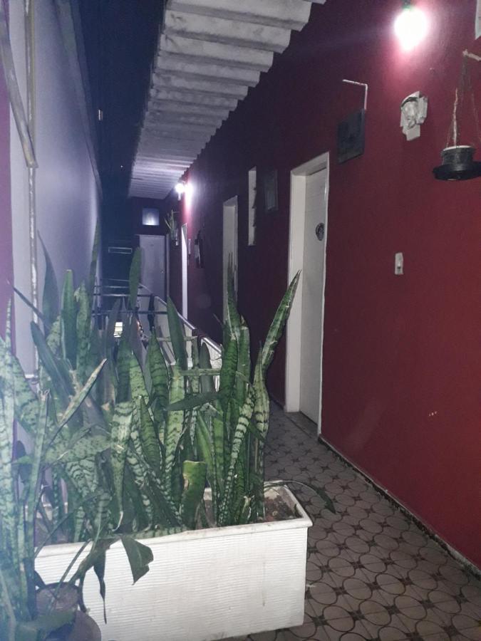 Hotel Flor Da Liberdade São Paulo Eksteriør bilde